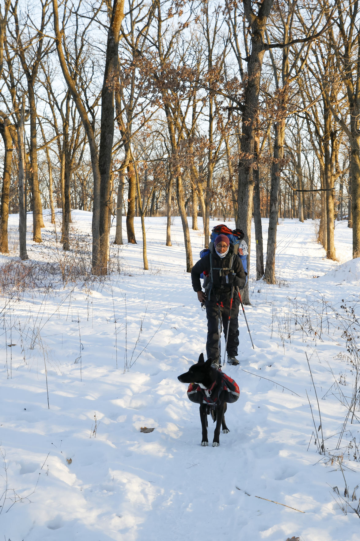 Ice Age Winter Hiker 012221 01-vertical-01252021094241